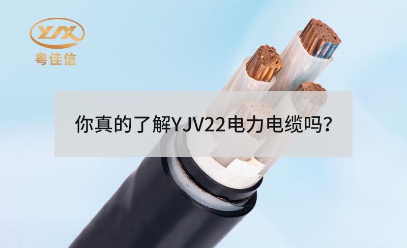 你真的了解YJV22电力电缆吗?